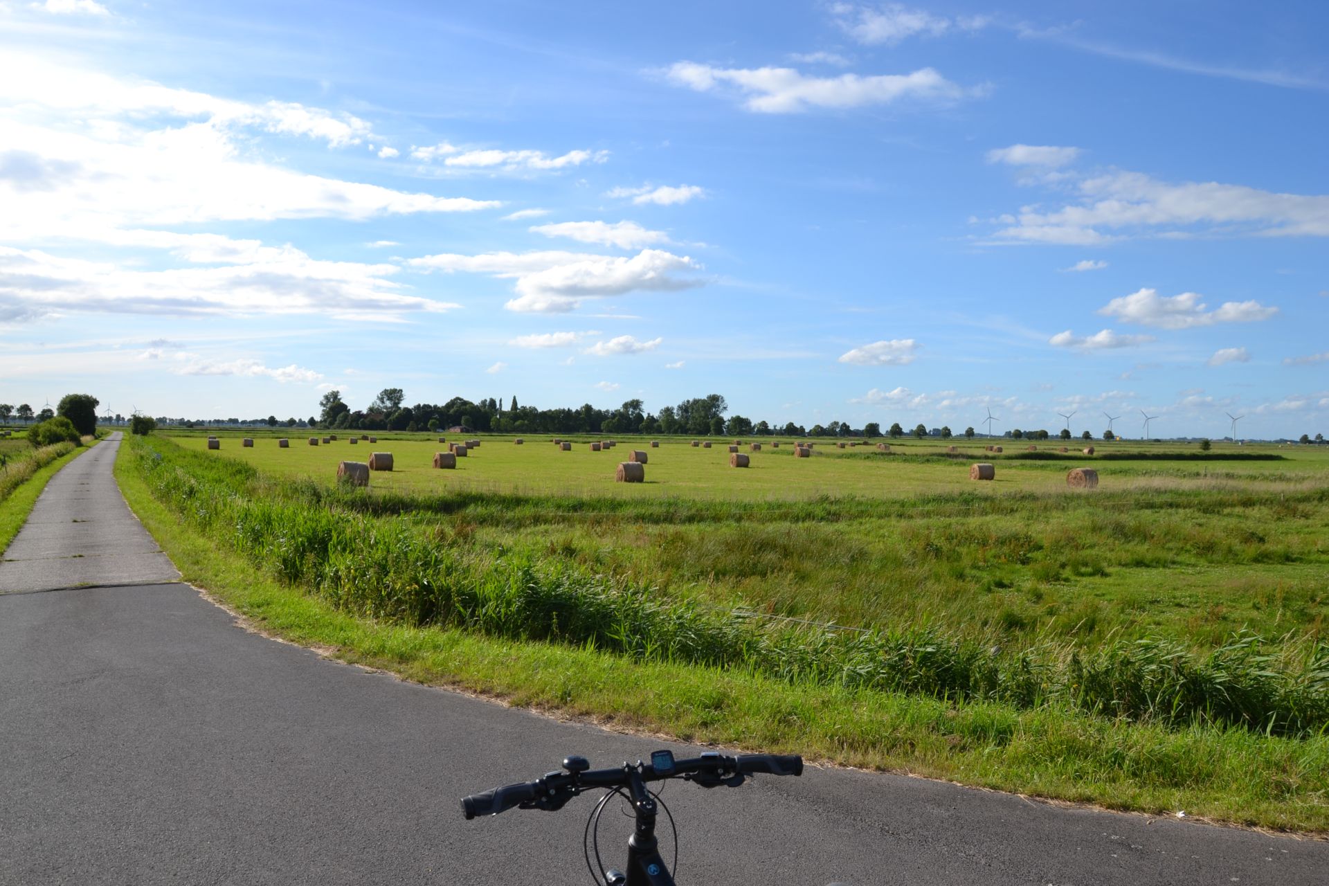 Foto: Heuballen auf einem Feld. Die Felder erstrecken sich über das gesamte Bild. Daneben befindet sich ein asphaltierter Radweg.