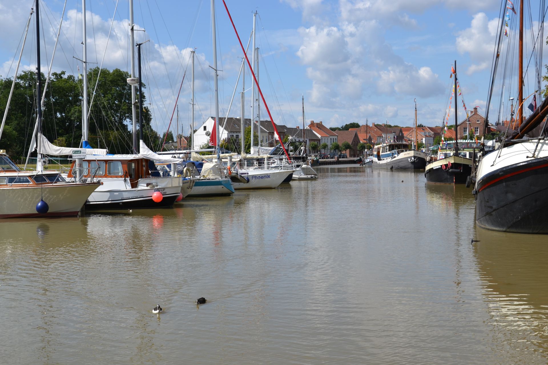 Foto: Ansicht des Sportboothafens. Im Wasser schwimmen zwei Enten. Links und rechts stehen Boote.