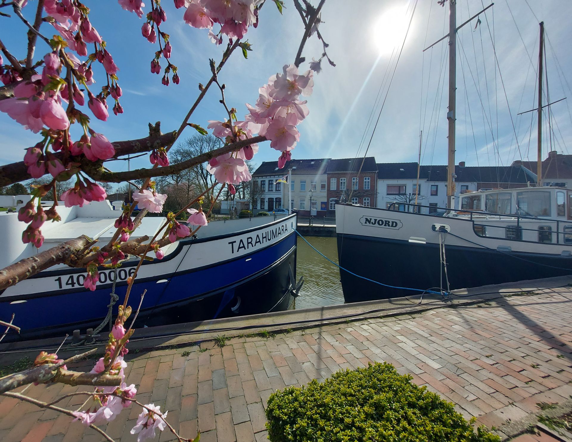 Foto: Zwei im Hafen anliegende Boote im Frühling. Im Hintergrund ist eine Häuserreihe zu sehen und im Vordergrund ein blühender Kirschbaum.